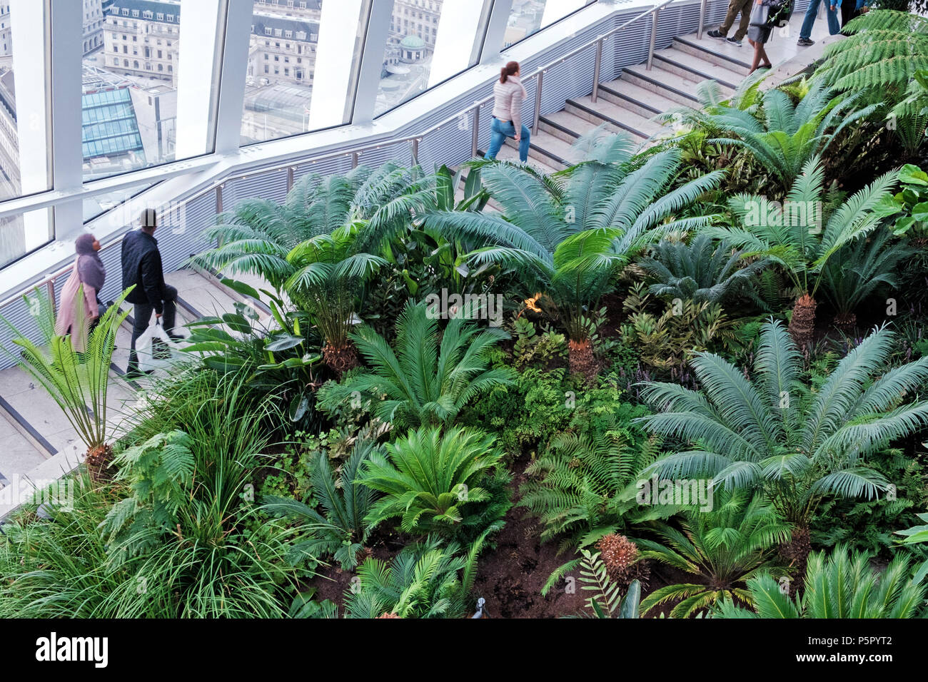 Plantes & le feuillage à la Sky Garden, 20 rue Fenchurch connu comme le talkie walkie. Les gens dans les escaliers. Fenêtres avec vue sur Londres. L'horizontale. Banque D'Images