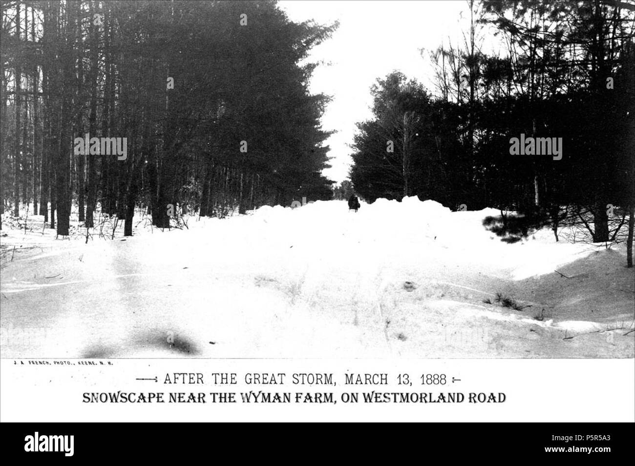 N/A. Titre Blizzard de mars 1888 - près de la ferme Snowscape Wyman sur Westmoreland Road créateur Français, J.A., Keene NH OBJET Blizzards - NH - Routes - Keene NH - Keene NH - Neige - Keene DESCRIPTION sur la route près de Westmoreland Wyman la ferme. 'Photographié pendant la semaine qui suit la grande tempête du 13 mars 1888. Plusieurs des points de vue ont été faites avant la charrue ou la pelle avaient perturbé la dérive, et d'autres après les rues et promenades ont été ouverts.' se réfère à la légende EDITEUR Keene Public Library et la Société historique du comté de Cheshire NUMÉRIQUE DATE DATE 20100331 188803 ORIGINAL RESOURCE Banque D'Images