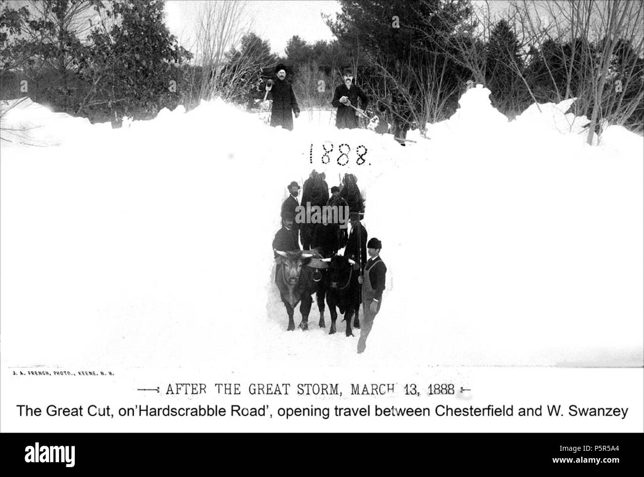 N/A. Titre Blizzard de mars 1888 - le 'Grand' sur Hardscrabble Road, billet d'ouverture entre Chesterfield et Ouest créateur 24075 Français, J.A., Keene NH OBJET Blizzards - NH - Keene NH - Neige - Keene DESCRIPTION la 'grande' sur Hardscrabble Road, l'ouverture d'un voyage entre Chesterfield et 24075 de l'ouest du New Hampshire. 'Photographié pendant la semaine qui suit la grande tempête du 13 mars 1888. Plusieurs des points de vue ont été faites avant la charrue ou la pelle avaient perturbé la dérive, et d'autres après les rues et promenades ont été ouverts.' se réfère à la légende EDITEUR Keene Public Library et la Fondation Historica. Banque D'Images