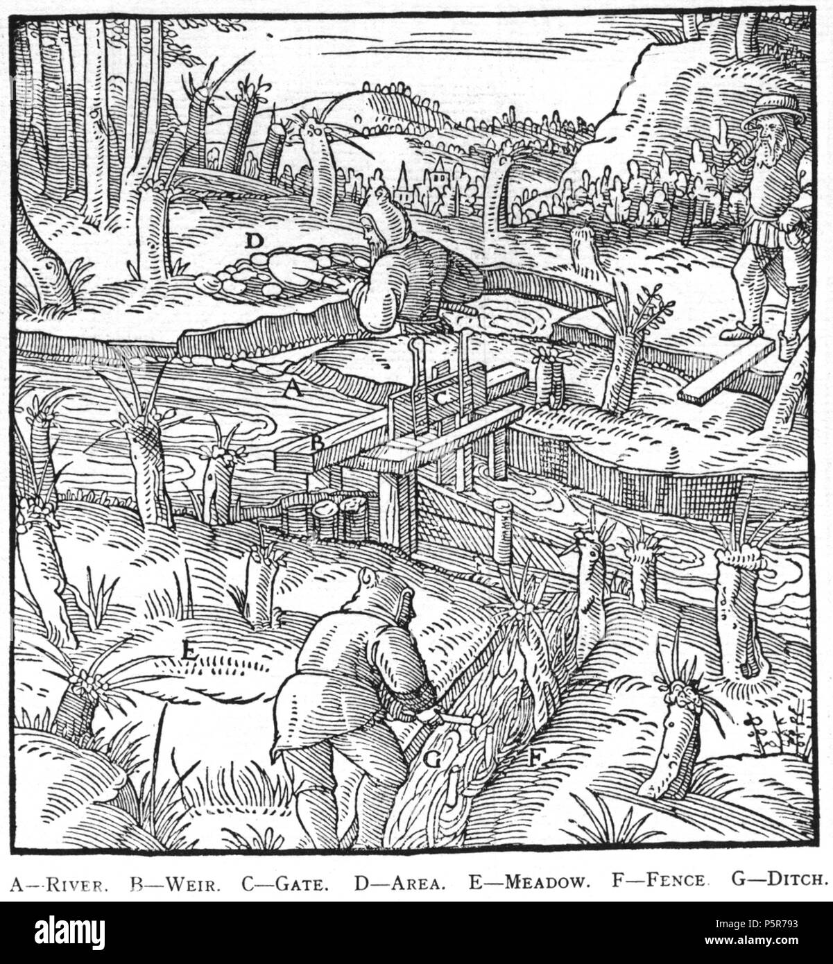 N/A. Illustration à partir de la gravure sur bois De re metallica de Georgius Agricola. C'est un 300dpi numérisation à partir de l'édition Dover 1950 de la Hoover 1913 Traduction de la référence 1556. Le Dover edition est légèrement plus petit que le format affiche Hoover (qui est un livre rare). Les gravures sur bois ont été recréés pour l'impression de 1913. Les noms de fichiers (à l'exception de la page de titre) indiquent le chapitre (2, 3, 5, etc.), suivie par le numéro séquentiel de l'illustration. 2 mai 2005, 07:13:14. TCO (talk) 223 Book8-36 Banque D'Images