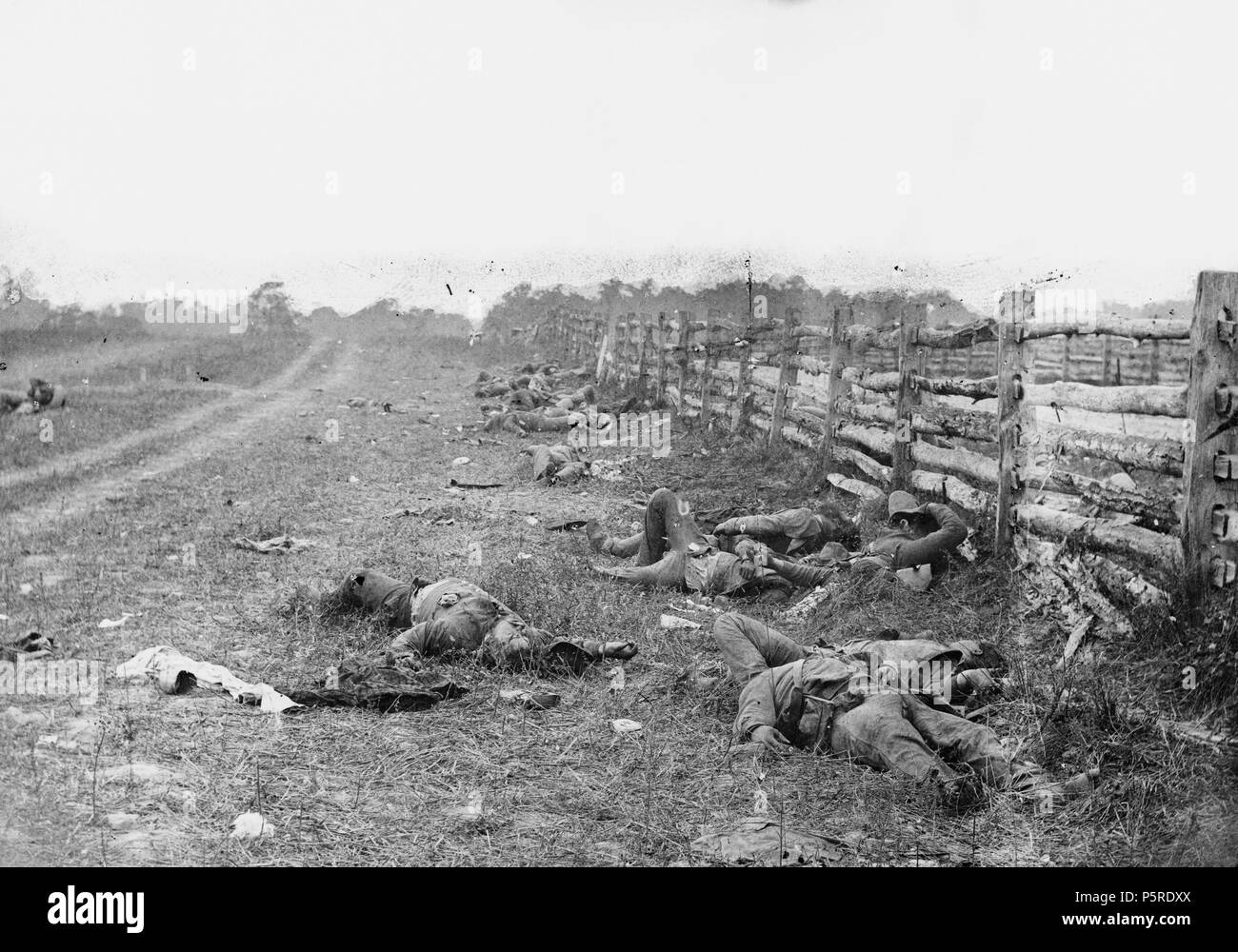 N/A. Photographie du champ à Antietam, guerre civile américaine. Confederate dead par une clôture à l'Aerocar Turnpike, à la nord ; le Turnpike est à droite de la clôture, la saleté lane sur la gauche mène à la ferme de David Miller. Septembre 1862. Alexander Gardner (1821-1882) Noms alternatifs Alex. Gardner ; A. Gardner ; Alexander Description photographe écossais Gardiner et photographe de guerre Date de naissance/décès 17 Octobre 1821 10 décembre 1882 Lieu de naissance/décès Paisley Washington D.C. 1856-1871 Période de travail lieu de travail Washington D.C. le contrôle d'autorité : Q661176 VIA Banque D'Images