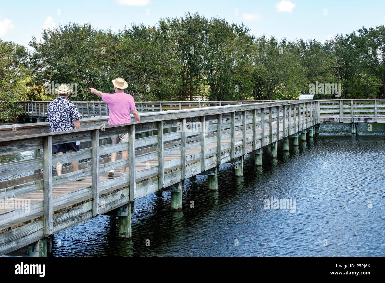 Delray Beach Florida,Wakodahatchee Wetlands,réserve naturelle,parc,promenade,sentier,habitat protégé des oiseaux,projet de remise en état de l'eau,adulte Banque D'Images