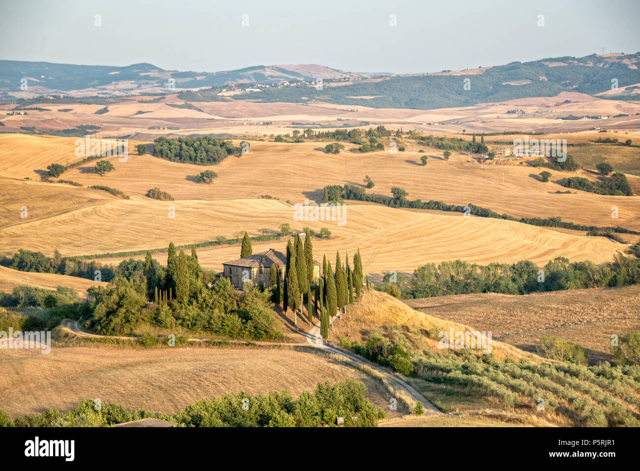 Belle campagne typique paysage d'été en Toscane, Italie Banque D'Images