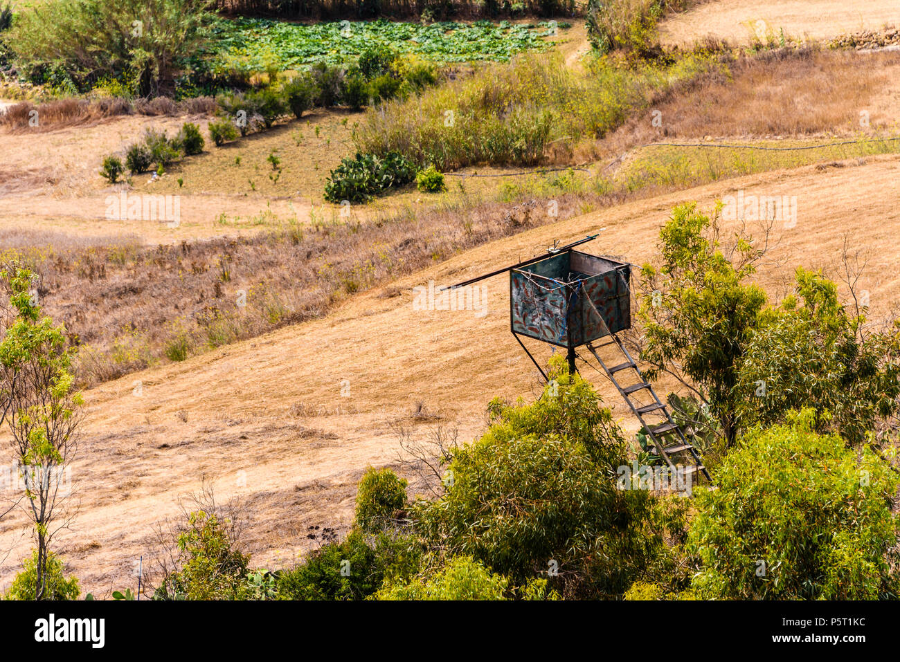 Une plate-forme au-dessus des arbres utilisés pour le tournage d'oiseaux durant la saison de chasse à Gozo, Malte. Banque D'Images