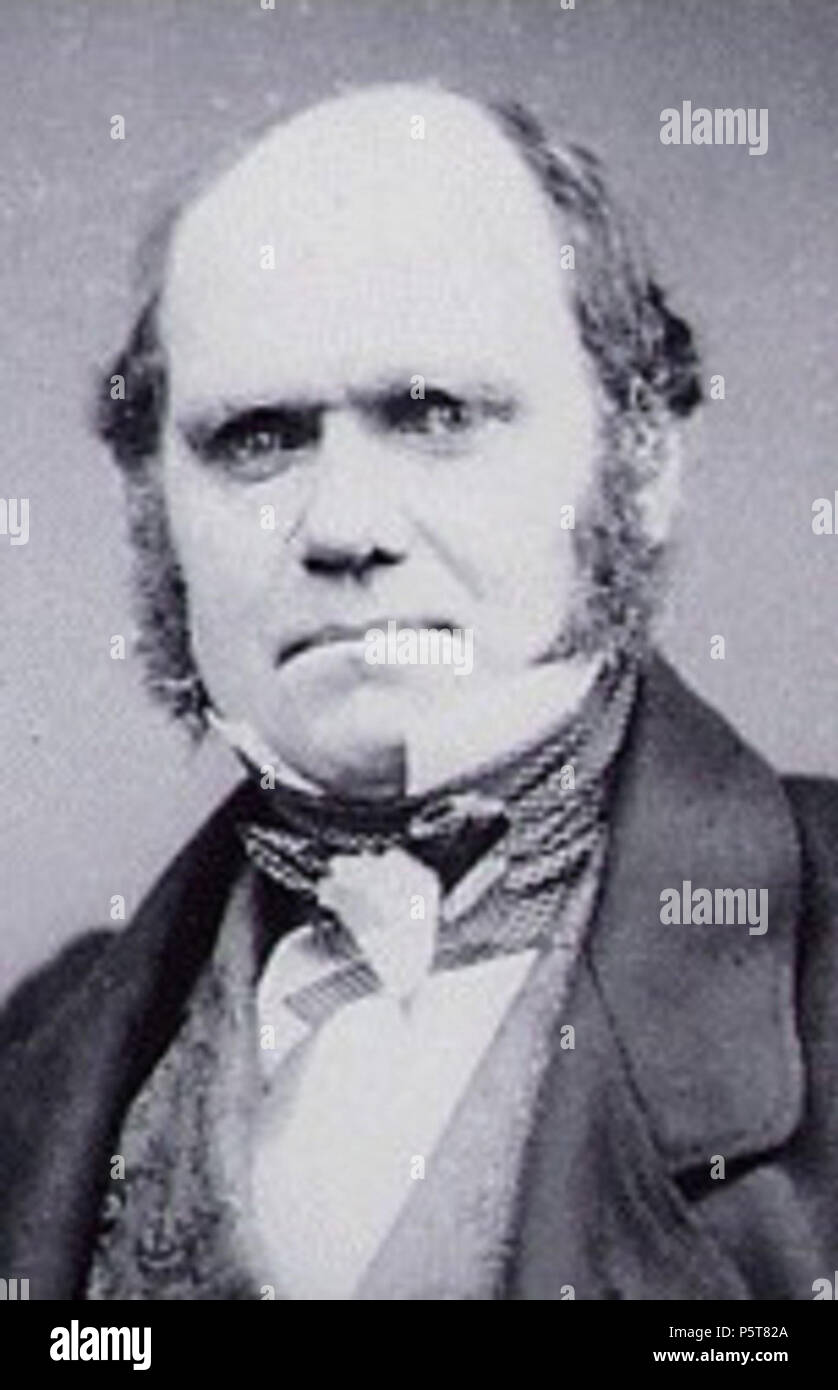 N/A. Charles Darwin en 1854, 5 ans avant il a publié l'origine des espèces. 1855. Maull&Polyblank 325 Charles Darwin Banque D'Images