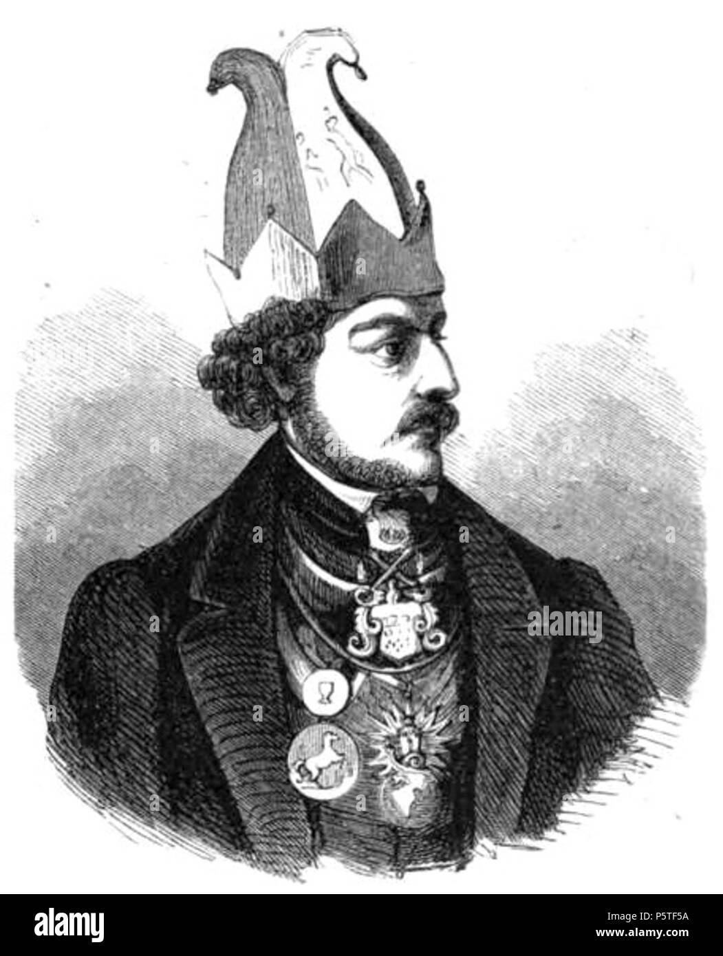 414 festliche Das Jahr img089 Der Carnevalspräsident (Mainz) Banque D'Images