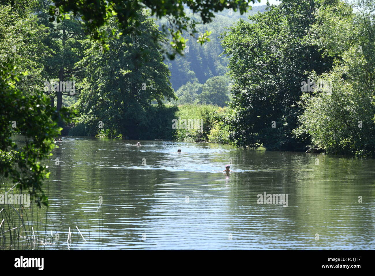 Nageurs à Weir Warleigh, près de Claverton en dehors de baignoire. Banque D'Images
