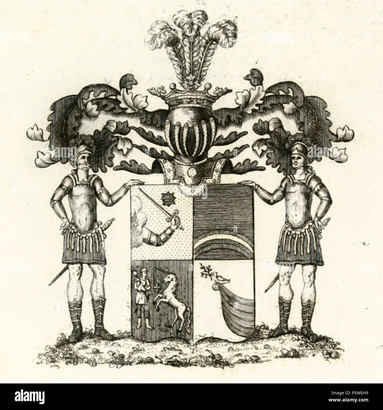 N/A. Anglais : Chemodanov : armoiries de la famille . 1799. Inconnu 336 RU COA Chemodanov III, 30 Banque D'Images