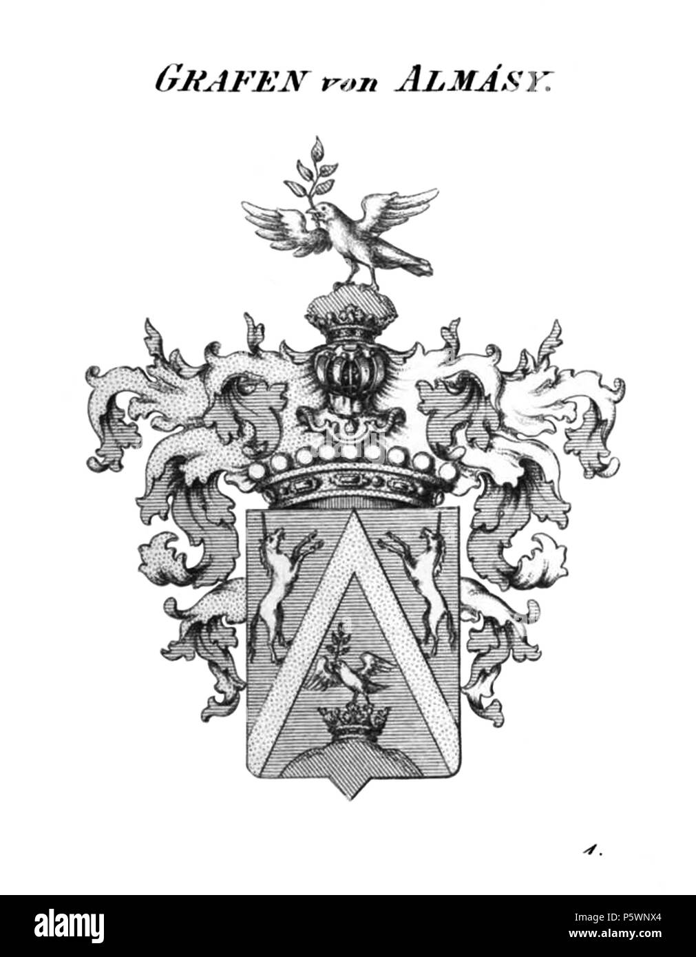 Almasy - Tyroff 354 COA À Banque D'Images