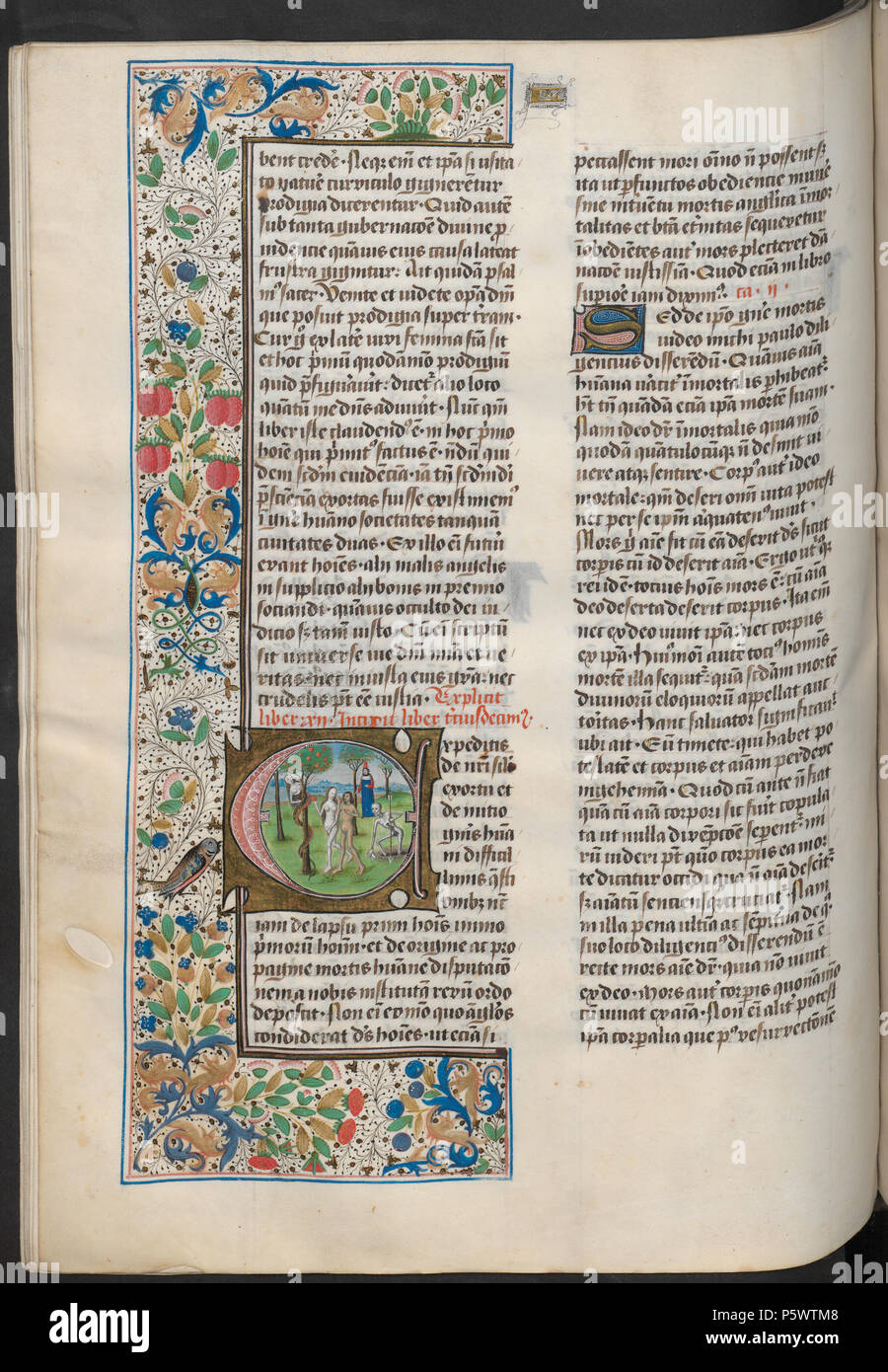 Latina : De civitate Dei libri XXII Nederlands : plus de Stad Dieux, Boek 22 . Nederlands : hs. 42, f. 165v. Augustinus en Adam en Eva, en de l'argot. . Entre 1465 et 1474 circa circa. Augustin d'Hippone (354-430) Les noms alternatifs Augustinus ; Augustin d'Hippone, Augustin, saint Austin ; bienheureux Augustin, saint Augustin, saint Augustin, le saint évêque, théologien algérien Description, philosophe et saint Date de naissance/décès 13 Novembre 3548 août 430 Lieu de naissance/décès Thagaste Hippo Regius contrôle d'autorité : Q8018 VIAF:66806872 ISNI:0000 0001 2137 6443 ULAN:500104317 LC Banque D'Images