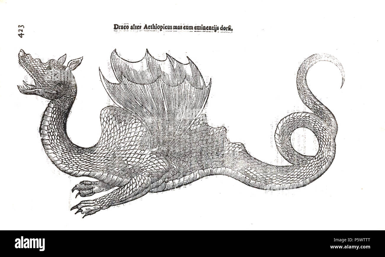 N/A. Dragon . 1640. L'Aldrovandi Ulysse Dragon Aldrovdani 469 2 Banque D'Images