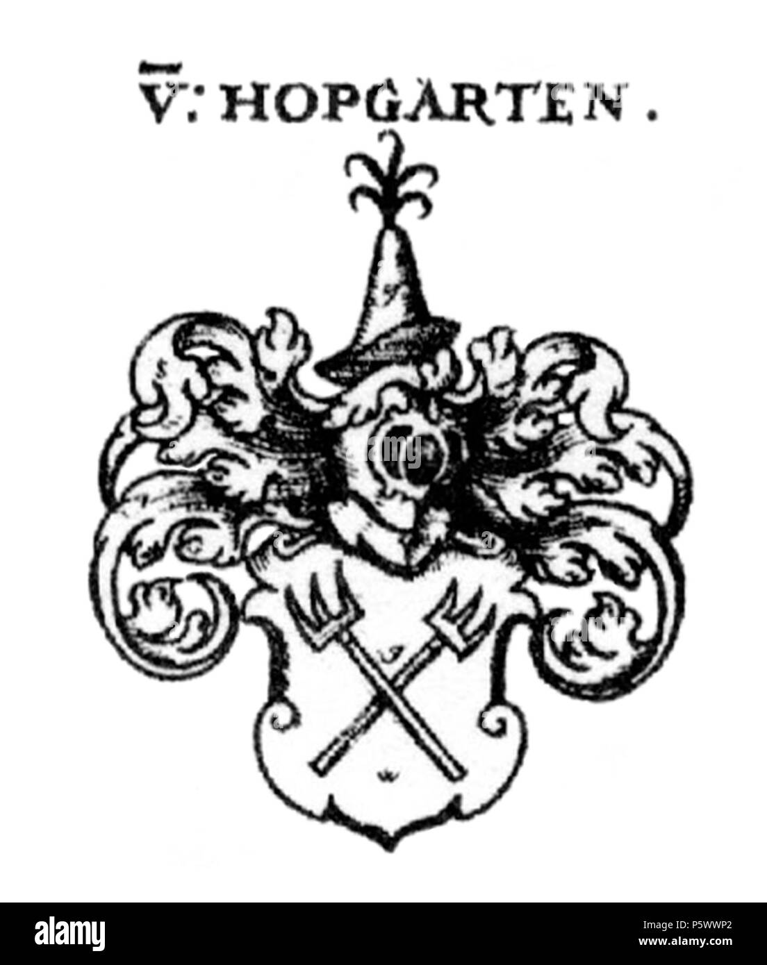 356 COA Hopfgarten sw Banque D'Images