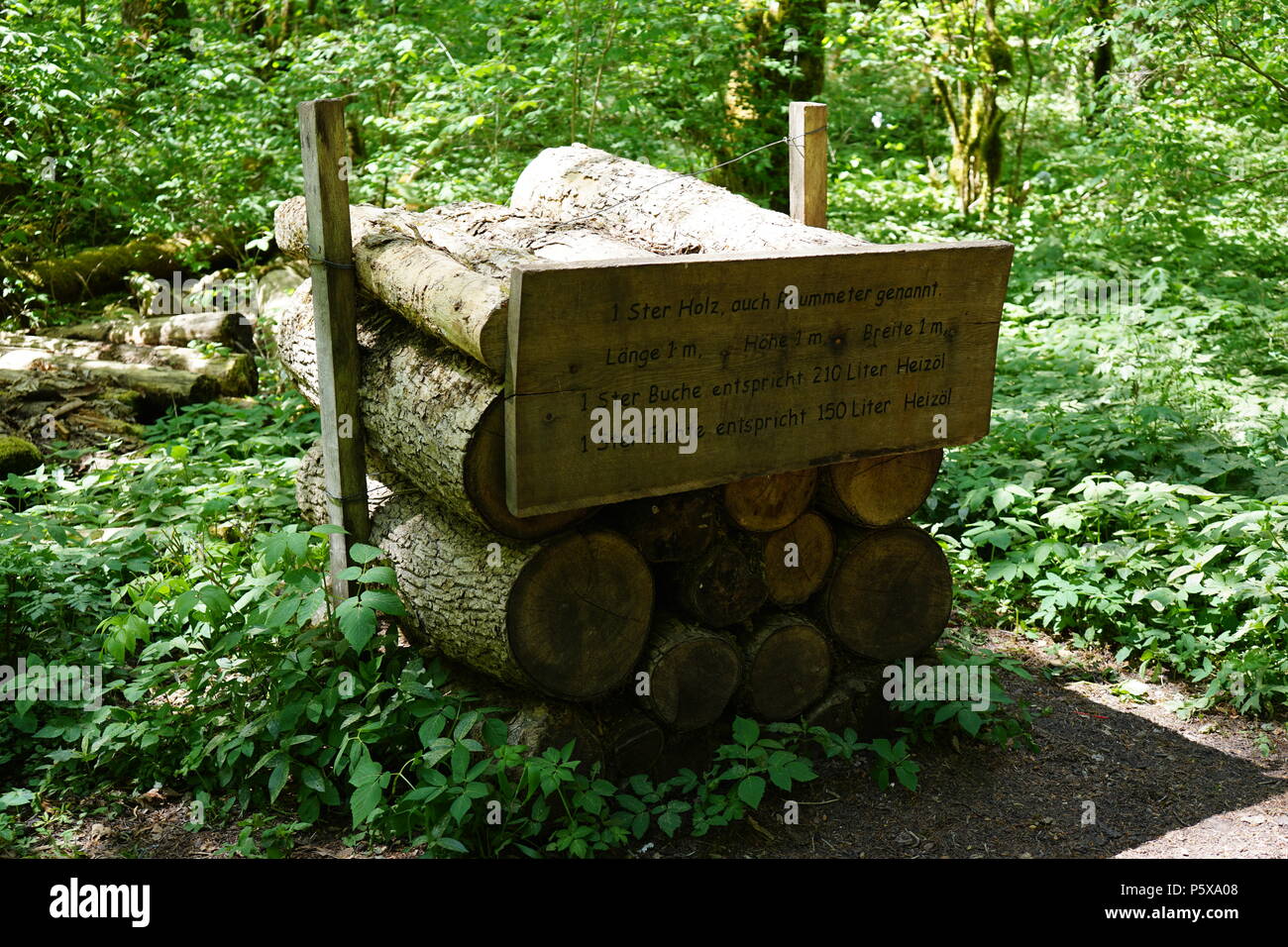 1 Ster Holz, Wanderweg, Drei-Schluchten Gauchachschlucht durch die-Wanderung, Nebenschlucht der Wutachschlucht, Baar, Bade-Wurtemberg, Allemagne Banque D'Images