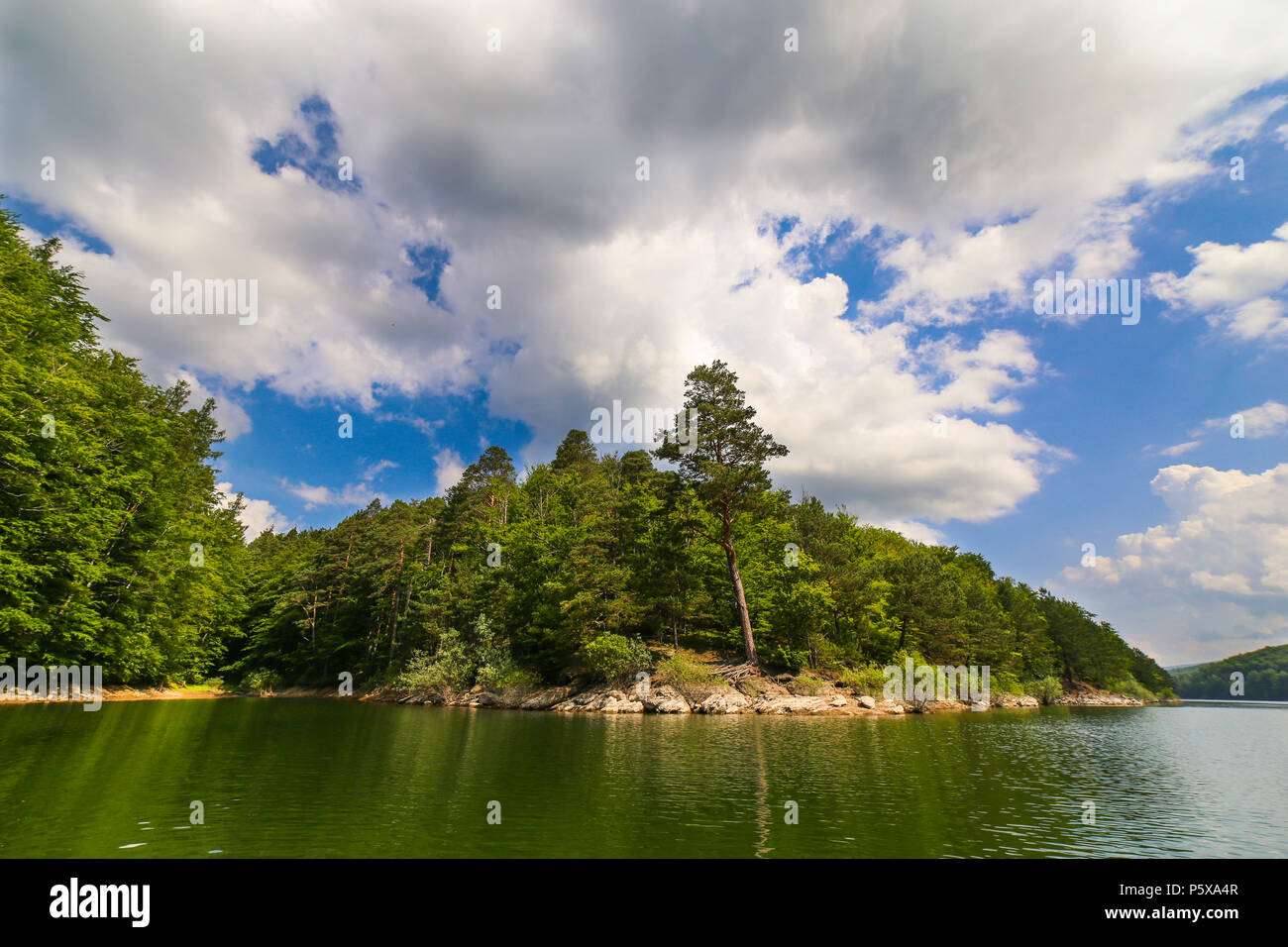 Paysage de montagne avec lac Gozna entouré par la forêt, Valiug, Caras-Severin, Roumanie Banque D'Images