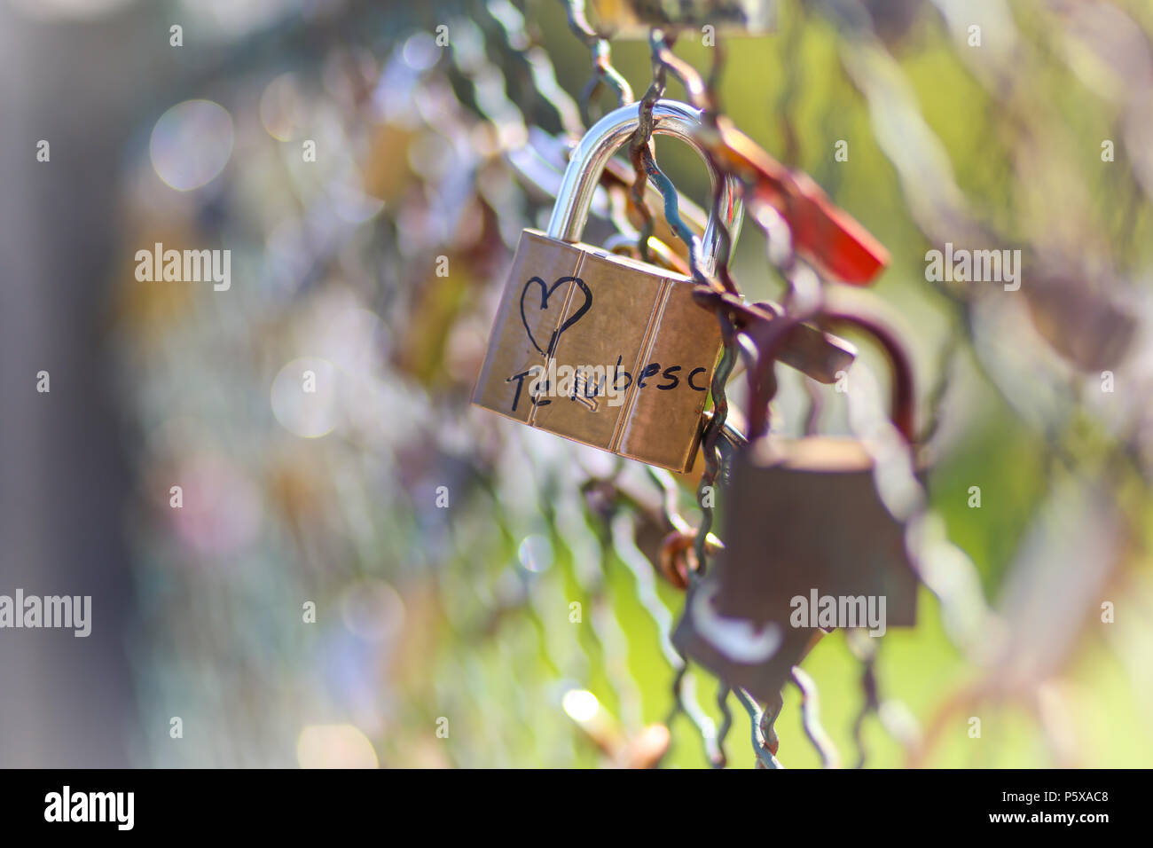 Cadenas Verrouille Sur Un Pont Written Avec Les Mots I Love You En Roumain Photo Stock Alamy