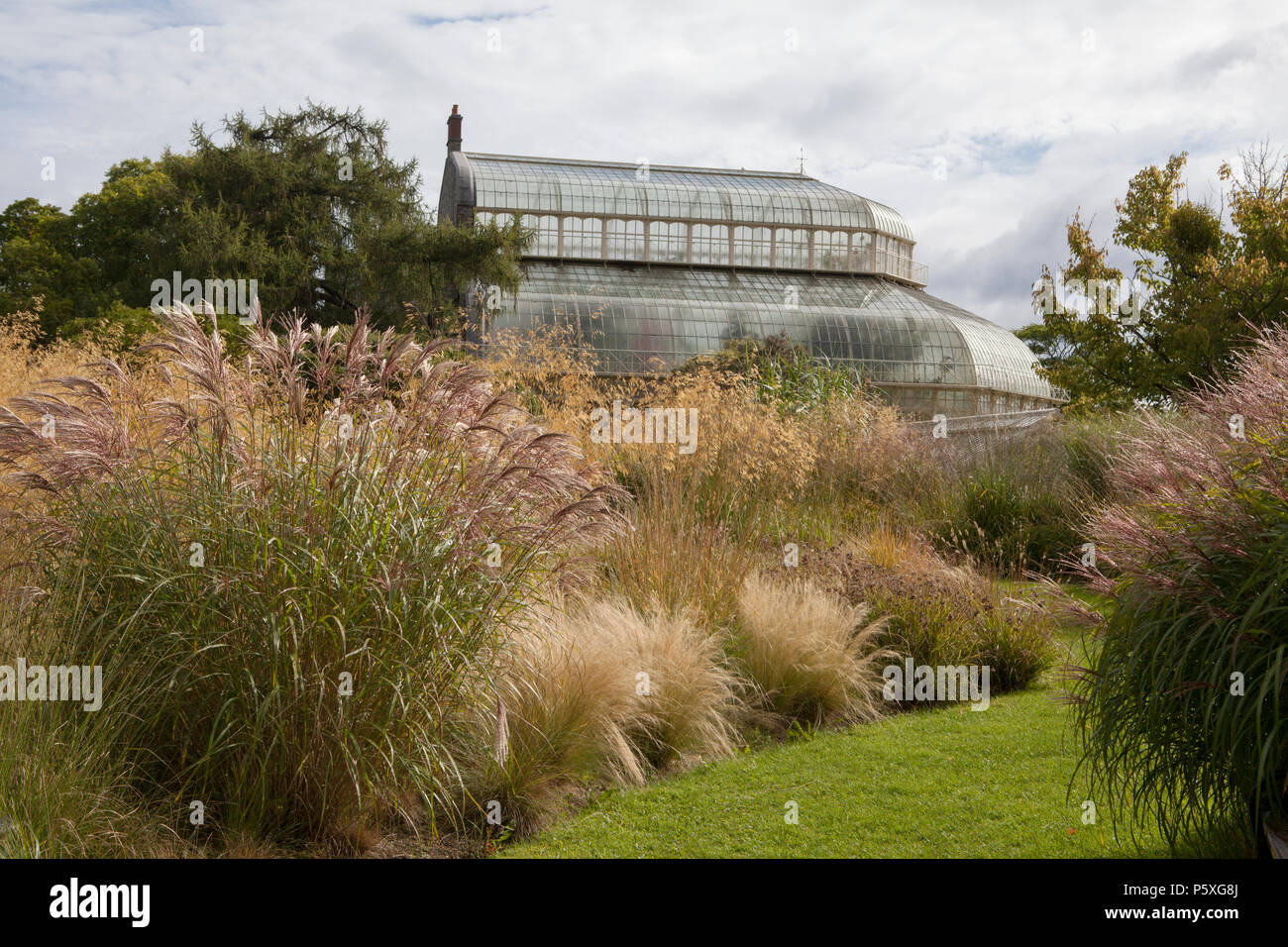 Le Palm House au Jardin Botanique National de l'Irlande, située à Glasnevin à Dublin Banque D'Images