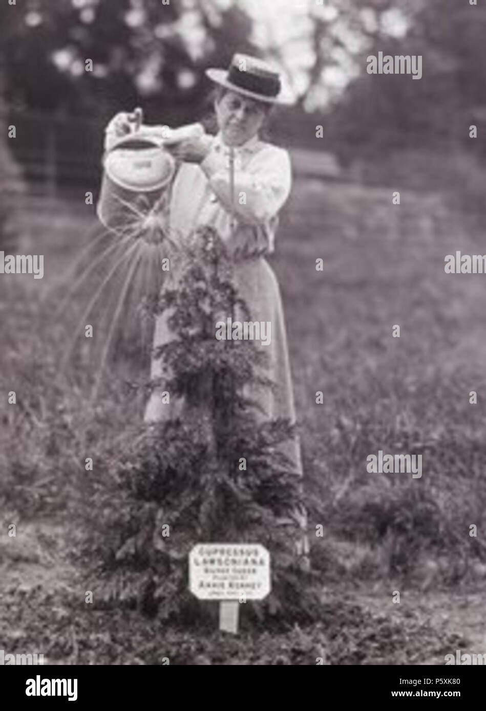 N/A. Anglais : Emily Blathwayt. Cette photo a été prise par le Colonel Linley Blathwayt et sont stockées sur des négatifs sur verre. L'Blathwayt accueil d'Eagle House Way l'accueil de Linley, Emily et Marie Blathwayt qui ont tous soutenu activement la cause des suffragettes. Presque toutes les prominient les suffragettes britanniques resté avec eux et ces photos et des dizaines d'arbres ont été plantés pour commémorer leur visite. Le colonel Linley Blathwayt a pris ces photos entre 1908 et 1912. Il est mort en 1919. Les photos sont disponibles en grandes quantités par BathInTime.co.uk. 2 janvier 1909. Le Colonel Linley Blathwayt Emily 508 Blathw Banque D'Images