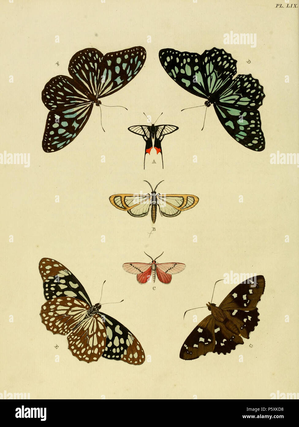 N/A. Une plaque LIX : '(Papilio) Chorineus Chorinea octauius' (  = octauius), voir 2008 B : '(Sphinx) Egeon" (  = Hyalurga fenestra), voir 2008 C : ''(Phalaena) Dimas' (  = Trosia tricolora), voir la NHM, papillons du monde et accueil d'Ichneumonoidea D, E : '(Papilio Limniace)" (  = Tirumala limniace), voir 2008 F : '(Papilio) Aventina" (  = Ideopsis similis), voir 2008 . 1779. Pieter Cramer (1721 - 1776) et CASPAR Stoll (entre 1725 et 1730 - 1791) 388 Cramer&amp;Stoll-uitlandsche kapellen vol. 1 plaque 059- Banque D'Images