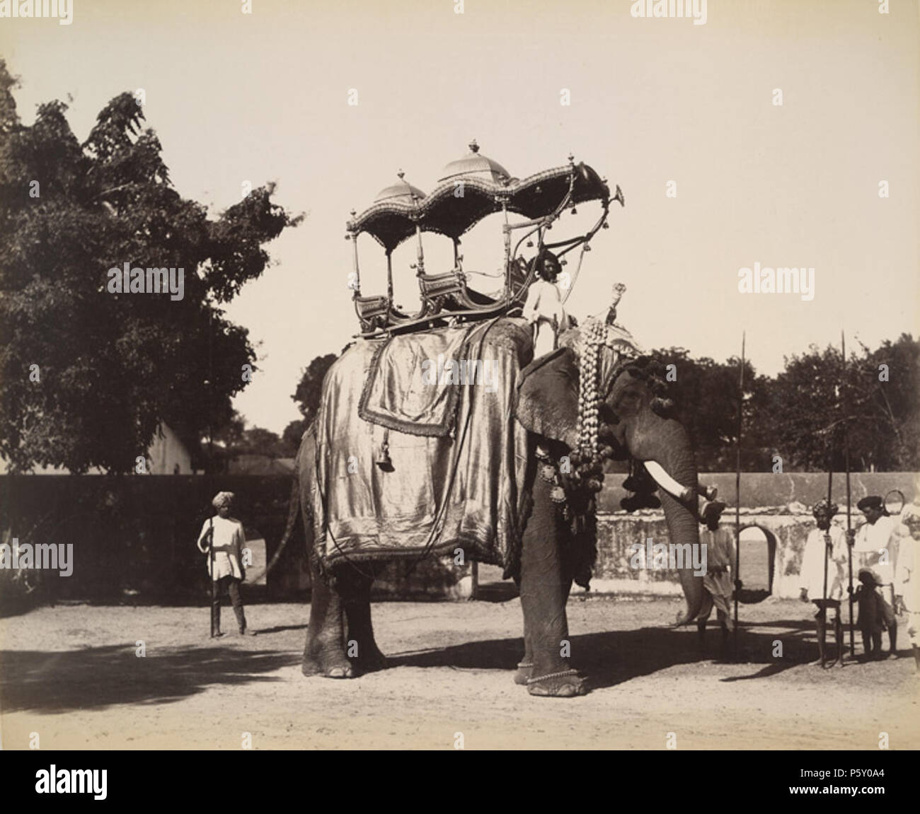 N/A. French : Photo d'un éléphant avec un golden ambari à Baroda, Gujarat à partir de la Collection Curzon, prise par un photographe inconnu pendant les années 1890. L'éléphant est l'un d'environ 55 éléphants de l'État appartenant à l'Gaekwar Sayaji Rao III (1875-1939), 12ème Maharaja de Baroda. Ils ont été utilisés dans les processions et les cérémonies ont été octroyées à des hauts fonctionnaires comme une marque de la faveur royale. Dans cette vue de côté, l'éléphant est caparisoned en drap d'or et porte sur son dos les ambari, un discours du trône ou de l'état howdah en or dont seuls les plus grands et les plus forts pourraient soutenir les éléphants. Années 1890. Unkn Banque D'Images