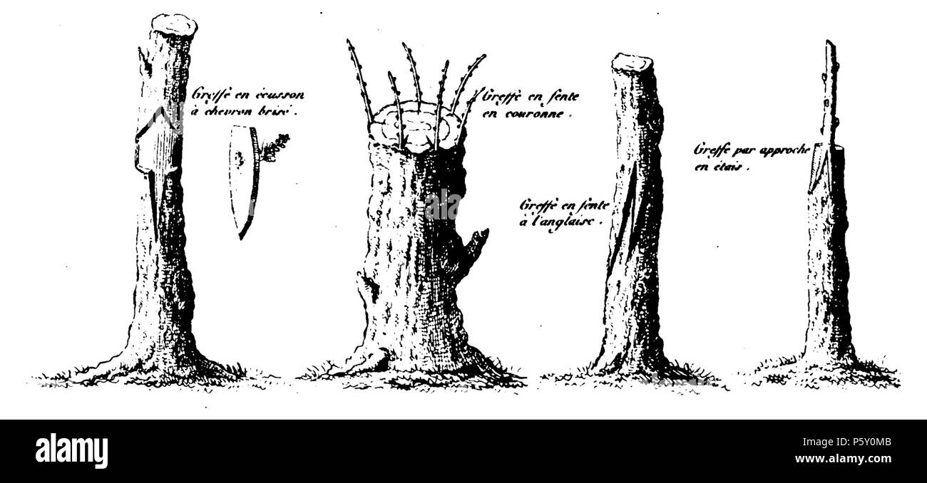 385 Rozier - Cours d'agriculture, tome 12, pl. 6, partie 2 Banque D'Images