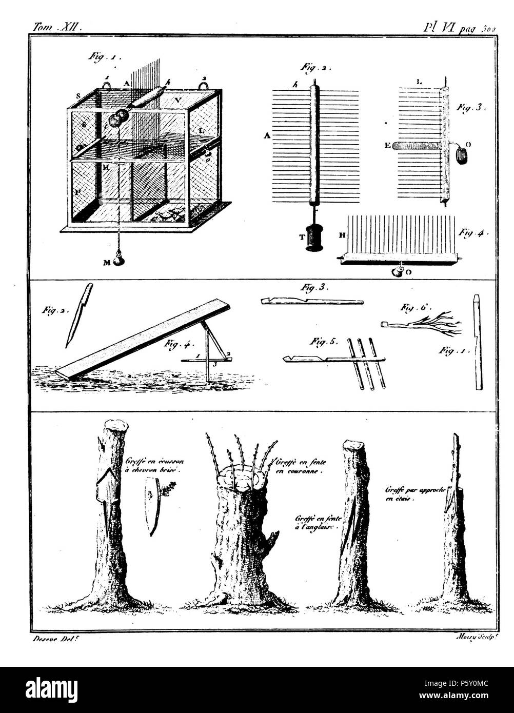 385 Rozier - Cours d'agriculture, tome 12, pl. 6 Banque D'Images
