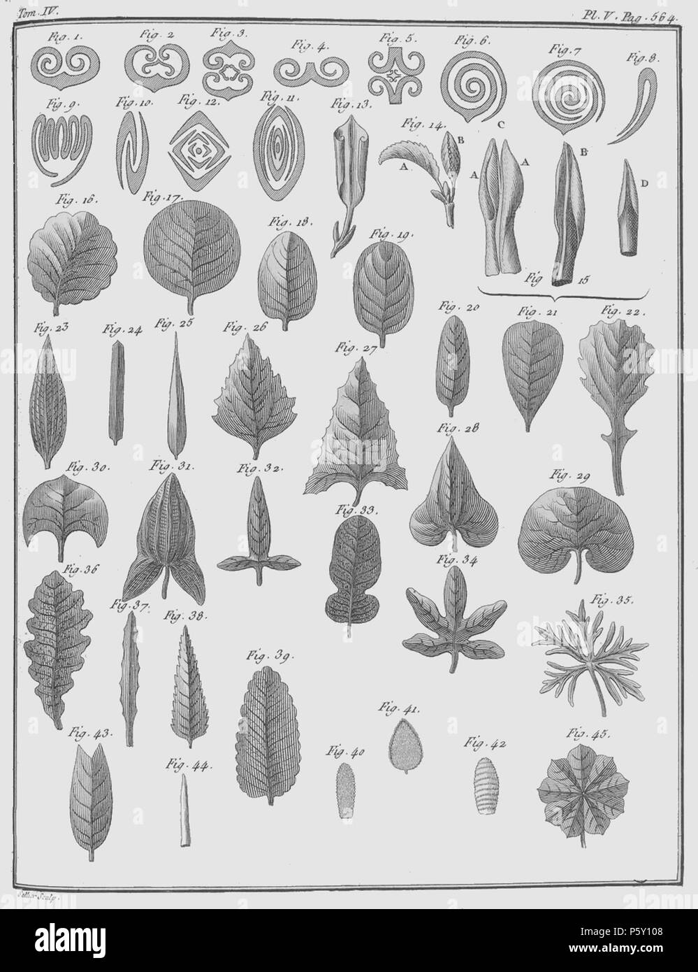 386 Rozier - Cours d'agriculture, tome 4, pl. 5 Banque D'Images
