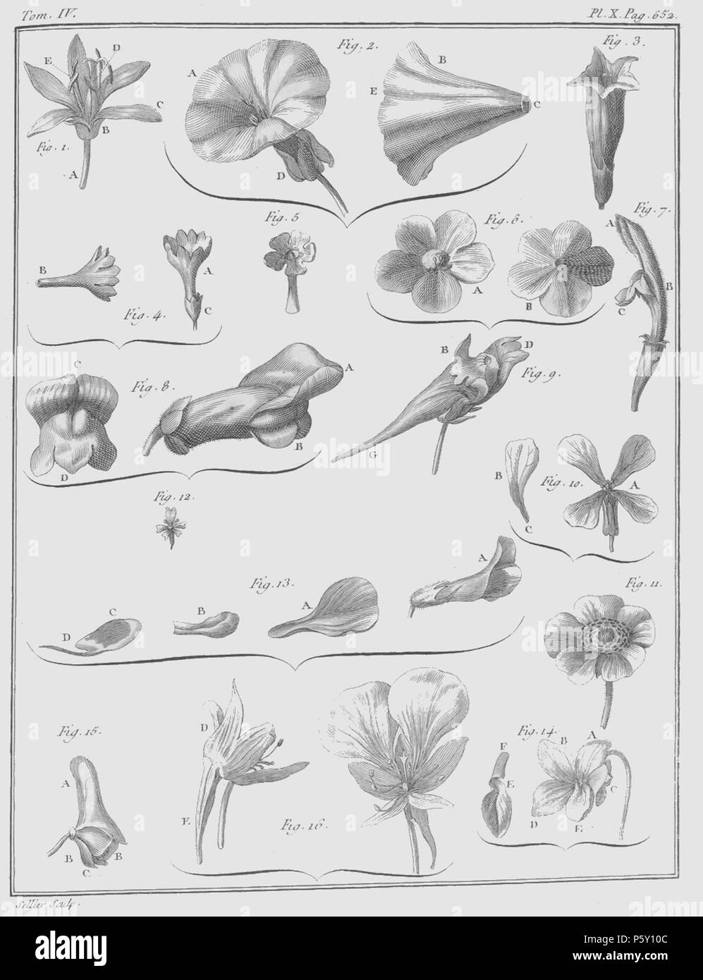 386 Rozier - Cours d'agriculture, tome 4, pl. 10 Banque D'Images