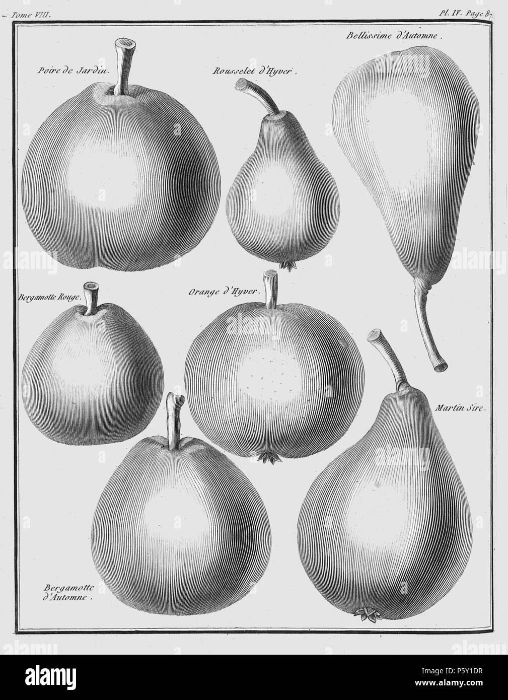 386 Rozier - Cours d'agriculture, tome 8, pl. 4 Banque D'Images