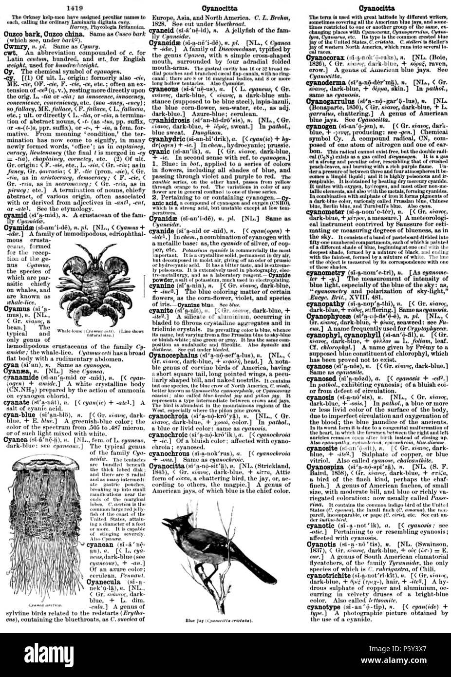 395 en Cyan 1889 Dictionnaire Banque D'Images