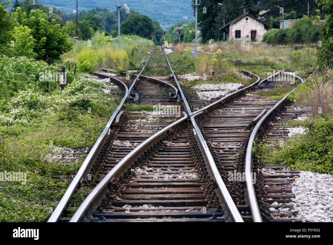 Vieux train rails dans nature et cultivé dans l'herbe. Voie de chemin de fer et de l'intersection. Selective focus Banque D'Images