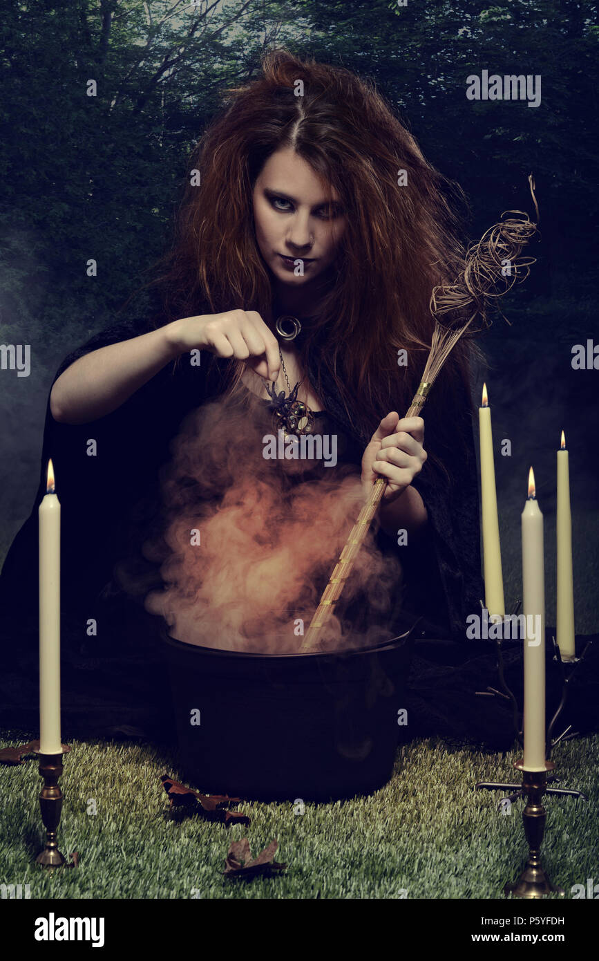 Ajout d'une sorcière sa potion magique à l'araignée Banque D'Images