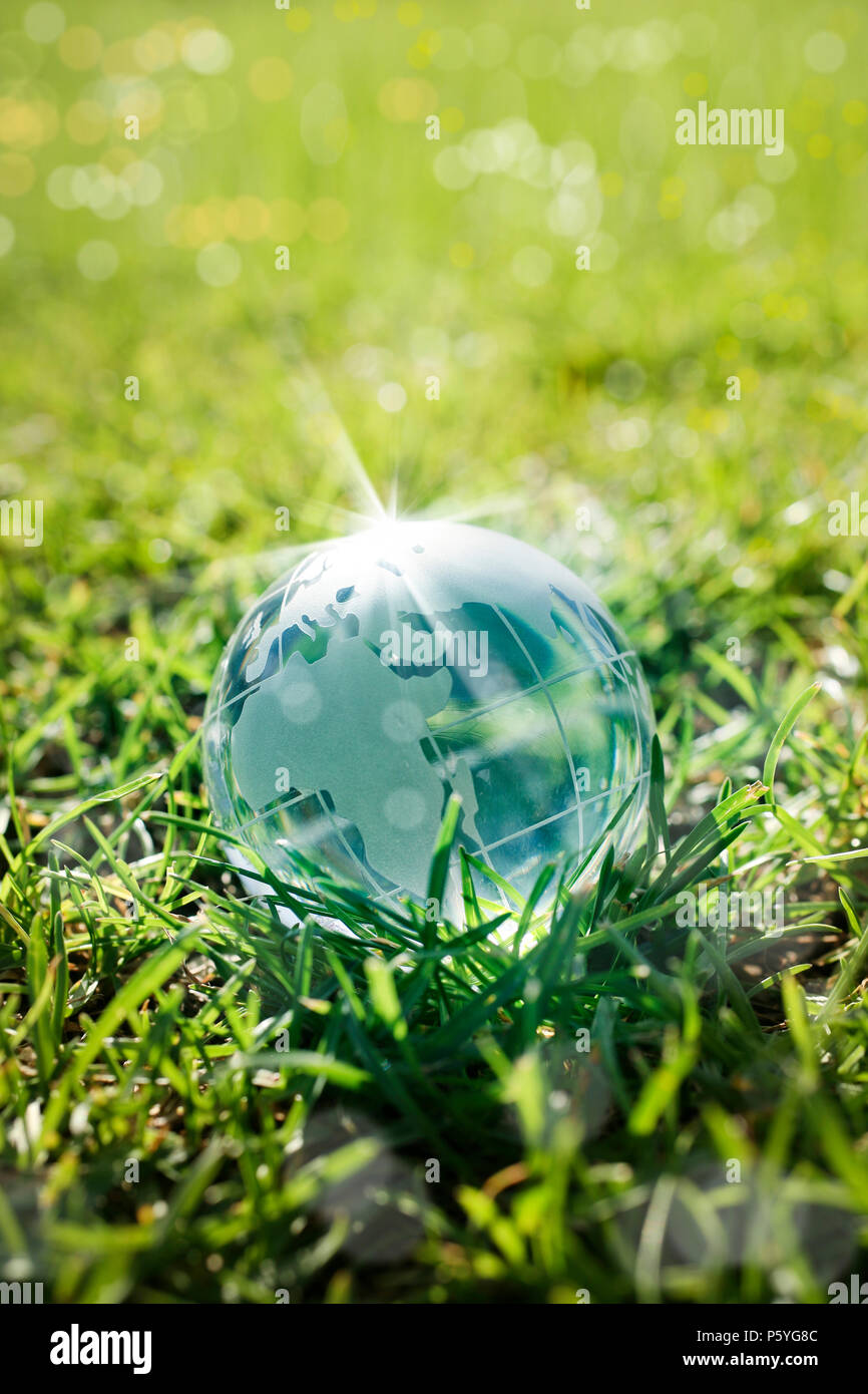 Une image de globe en verre sur l'herbe verte Banque D'Images