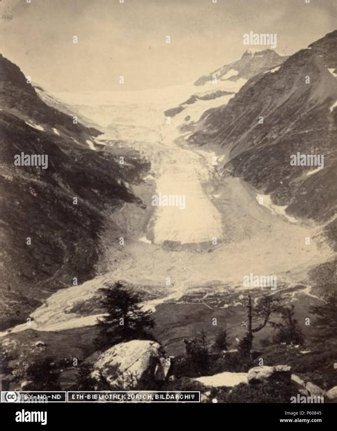 N/A. Deutsch : Palügletscher von Alp Grüm, aufgenommen von Adolphe Braun 1873. ETH-Bibliothek Zürich. 1873. Adolphe Braun (1812-1877) 532 ETHBIB.Bildarchiv HS 1458-GK-B100-1873-01 7184 Banque D'Images