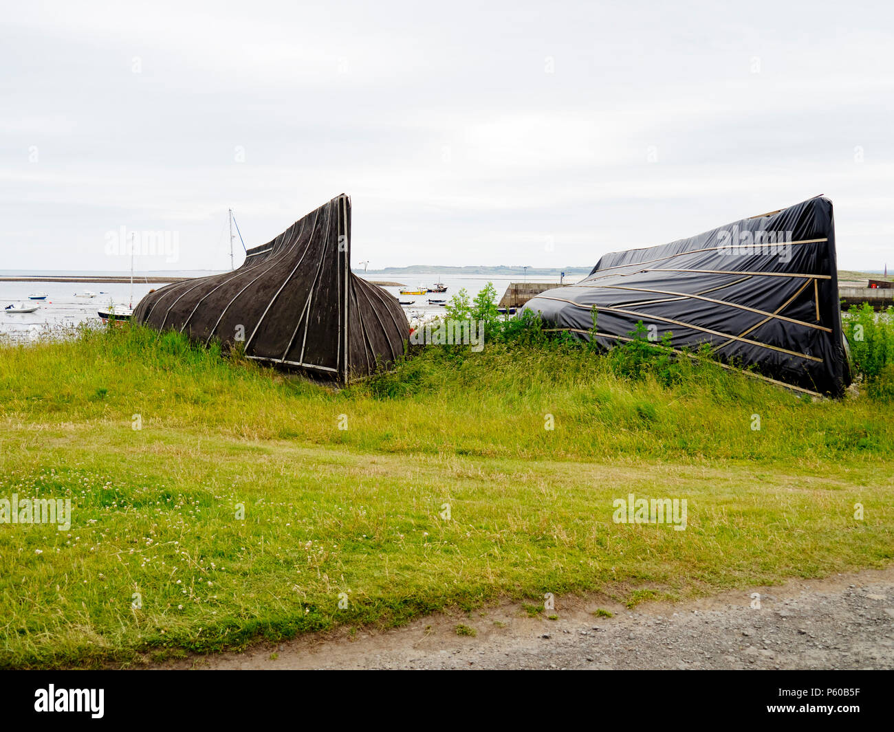 Vieux bateaux renversés converti en cabanes de pêcheurs par le port sur Holy Island au large de la côte de Northumberland en Angleterre du Nord-Est Banque D'Images