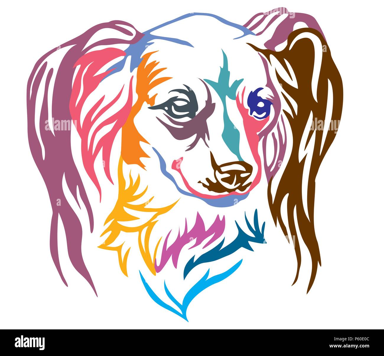 Portrait décoratives colorées de longs cheveux chien terrier Toy russe, vector illustration en différentes couleurs isolé sur fond blanc. Droit pour le d Illustration de Vecteur