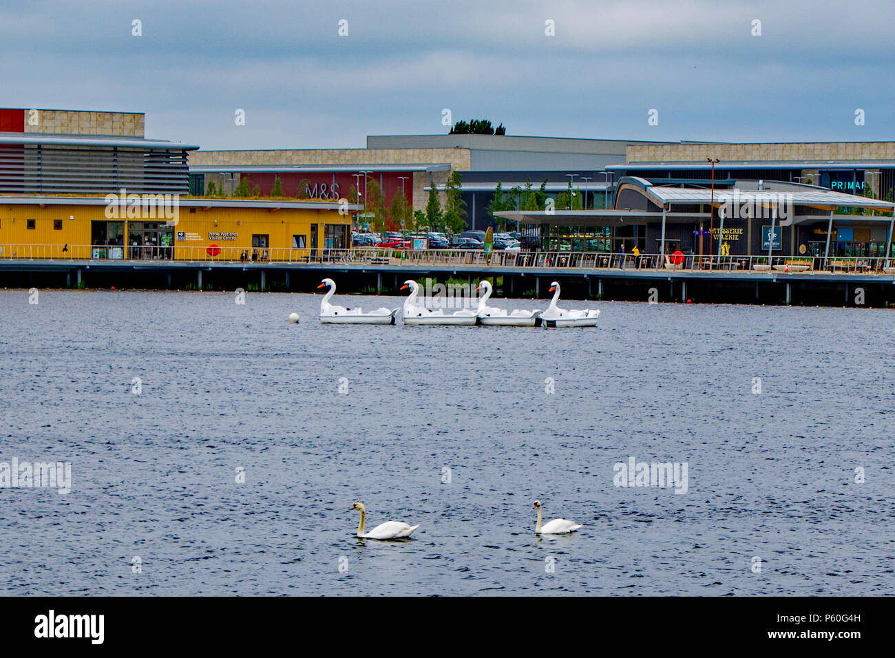 Swan et Pédalos Cygnes réel sur le lac à Rushden Lacs Shopping Centre - également d'un centre d'accueil, zones humides Nene Marks & Spencer et Primark Banque D'Images