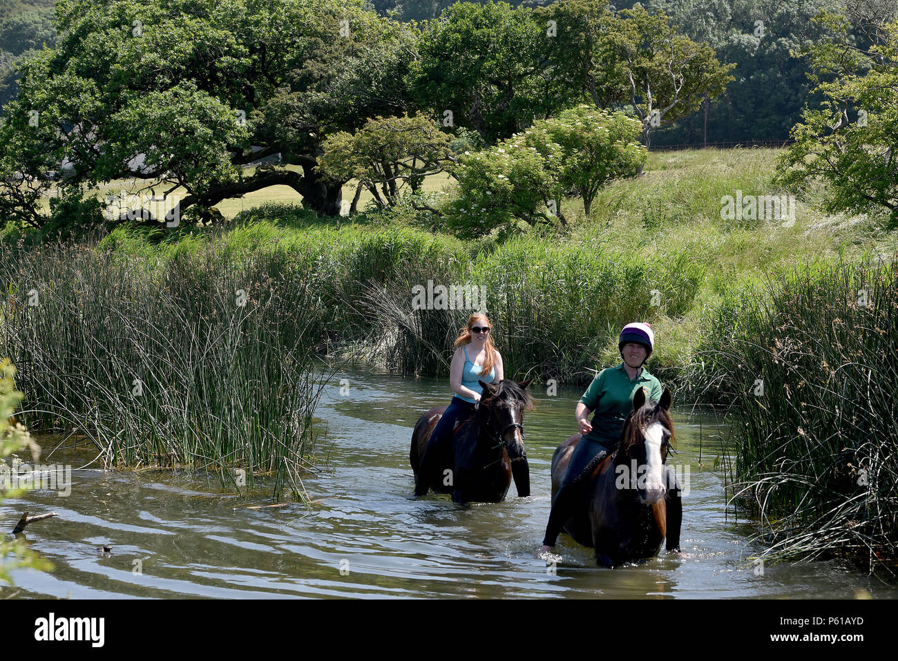 Comme la canicule se poursuit avec l'enregistrement de certains pays de Galles les températures les plus élevées au Royaume-Uni, les cavaliers Janice Hill (le port de casque) et Myfanwy Matthews, prendre chevaux Annie, montée par Janice, et M. Chips, monté par Myfanwy, pour un bain rafraîchissant dans la rivière Ogmore au Village de Ogmore, Vale of Glamorgan, Pays de Galles du Sud. Le mercure a atteint 25°C dans le salon le jeudi 28 juin 2018. Photo par Peter Bolter/ Alamy Live News Banque D'Images