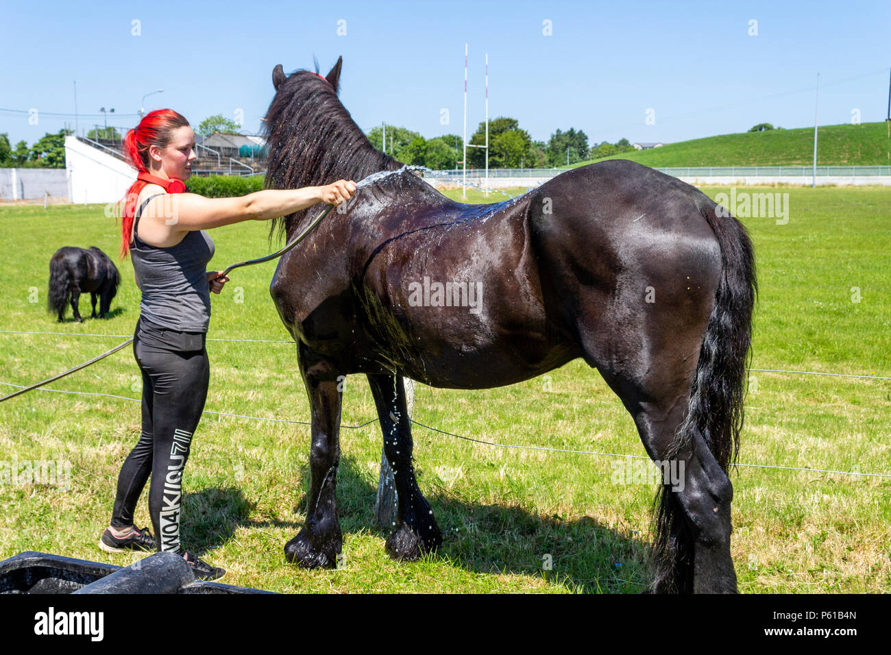 Baltimore, West Cork, Irlande. 28 juin 2018. Courtney d'été et son magnifique cheval scène Regent essaie de rester frais dans la chaleur étouffante. De l'été présente les performances de cirque, actuellement en tournée à l'Ouest de Cork, Irlande. Credit : aphperspective/Alamy Live News Banque D'Images