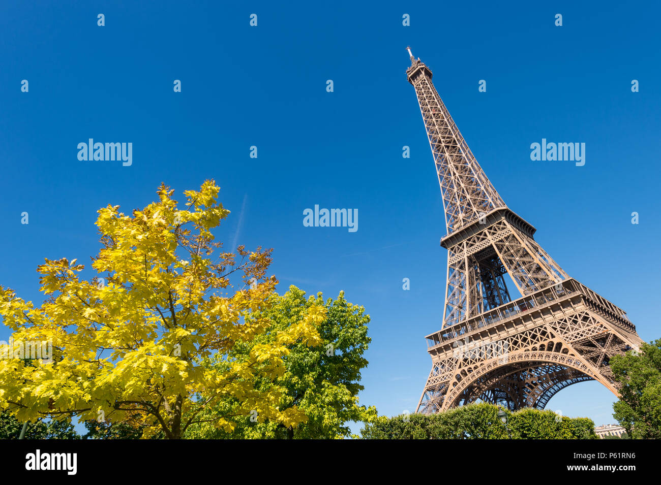 Paris, France - 23 juin 2018 : Tour Eiffel depuis le Champ de Mars jardins en été. Banque D'Images