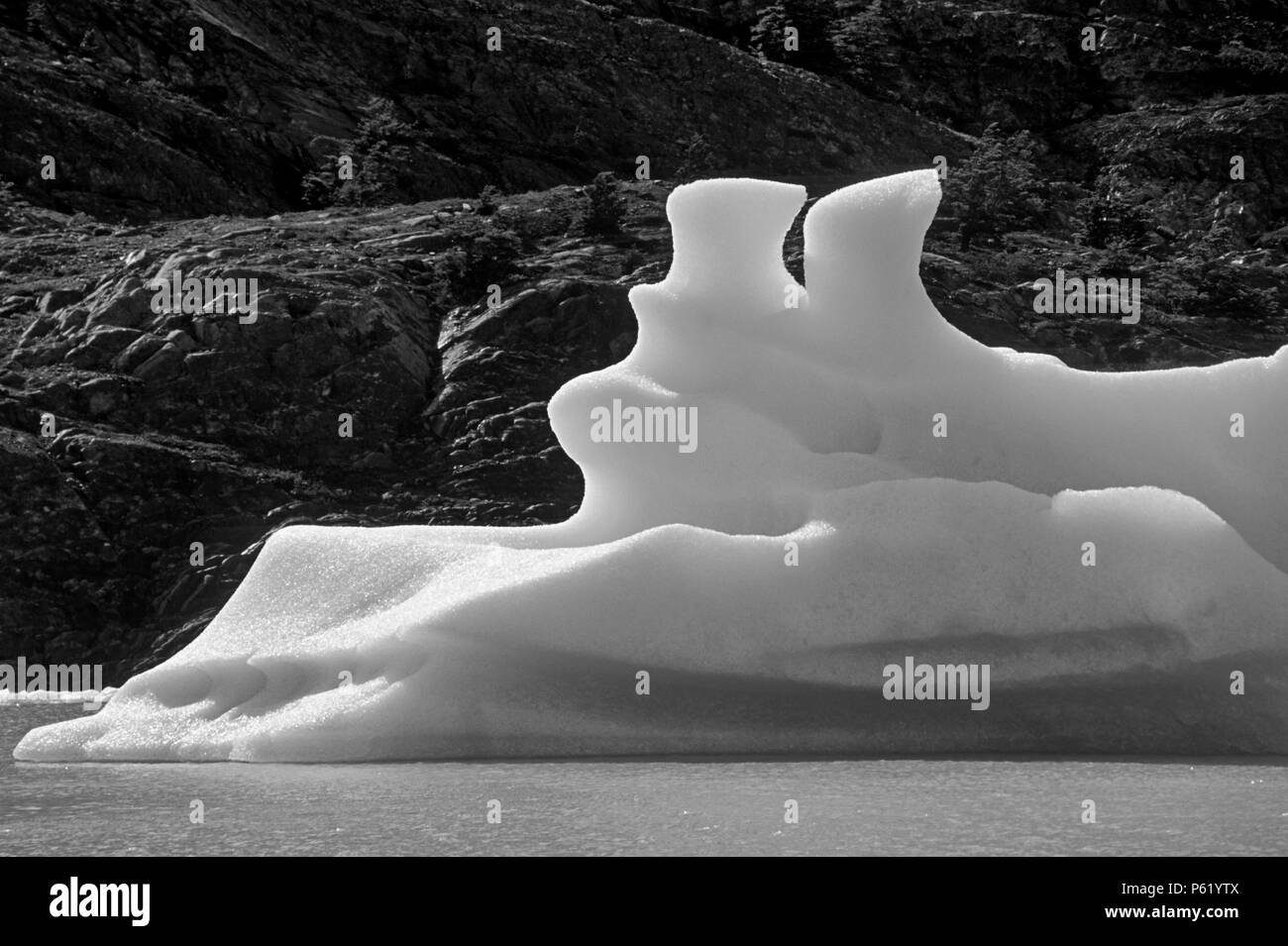 Un iceberg vêlé du Glacier Grey flotte sur le lac Grey DANS LE PARC NATIONAL DES TORRES DEL PAINE, CHILI - PATAGONIE Banque D'Images