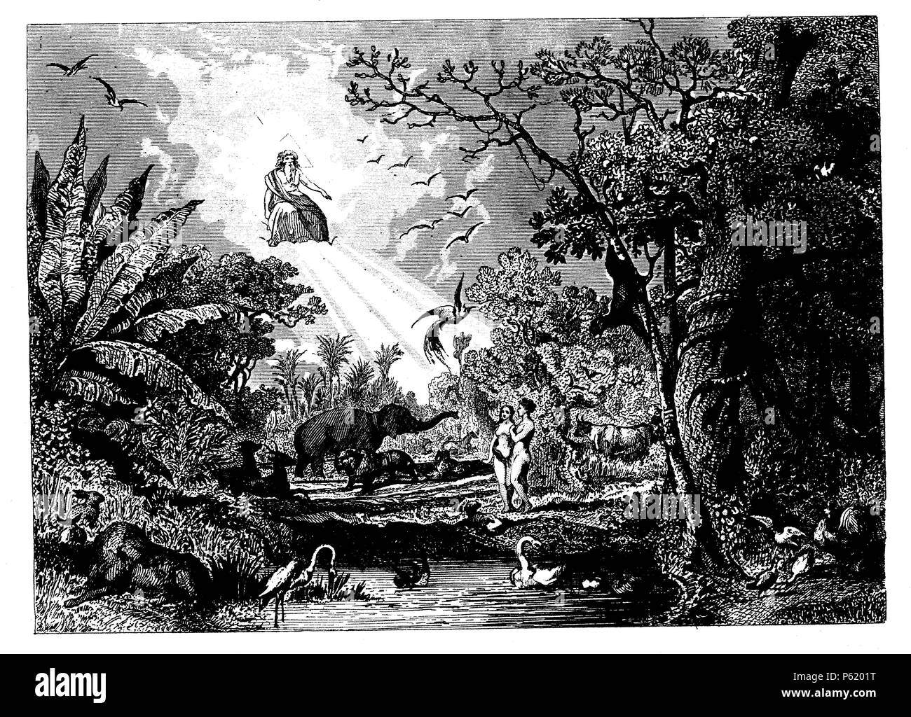 Historia Sagrada. La Creacion del Mundo. La gravure de 1860. Banque D'Images