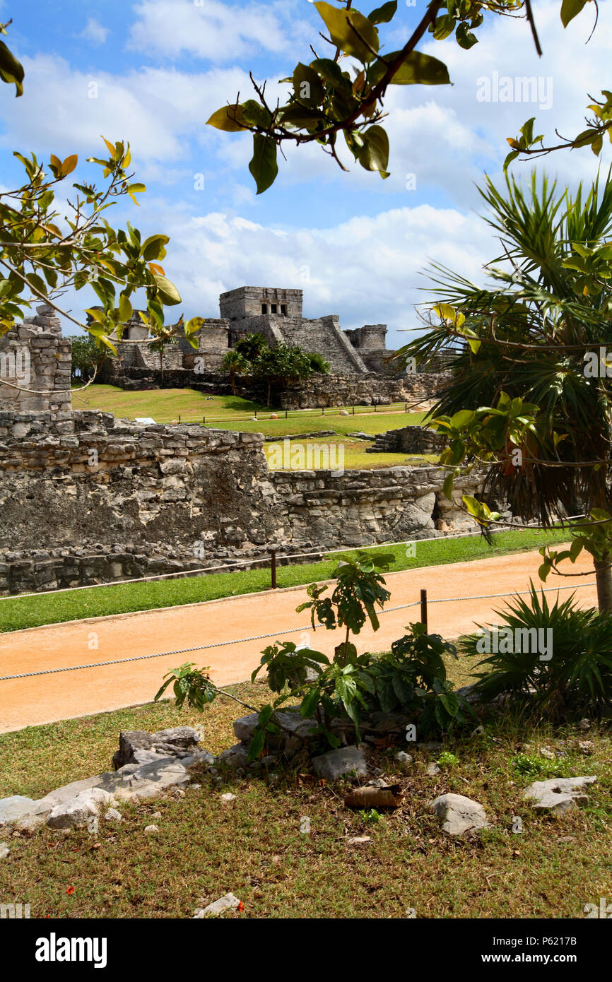 D'anciennes ruines d'un bâtiment avec des marches menant jusqu'à un temple maya, entourée d'arbres. Banque D'Images