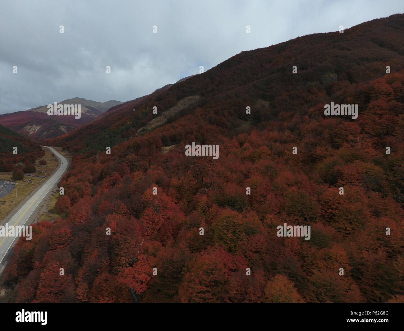 Paysages de la Carretera Austral en Patagonie, au Chili. Otoño en Portezuelo Ibañez Banque D'Images