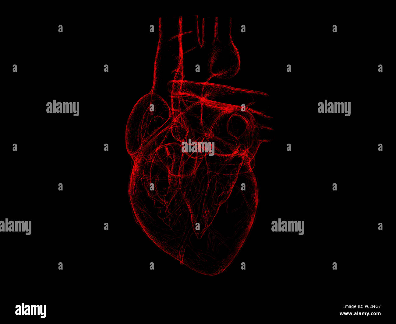 X-ray isolé coeur humain rouge 3d illustration sur fond noir Banque D'Images