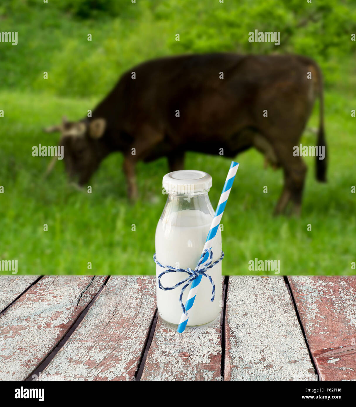 Bouteille de lait avec de la paille. Le lait de vache donnant sur une prairie de pâturage avec des vaches. Banque D'Images