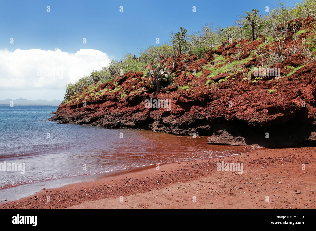 Plage de sable rouge sur Ile Rabida dans Parc National des Galapagos, Equateur Banque D'Images