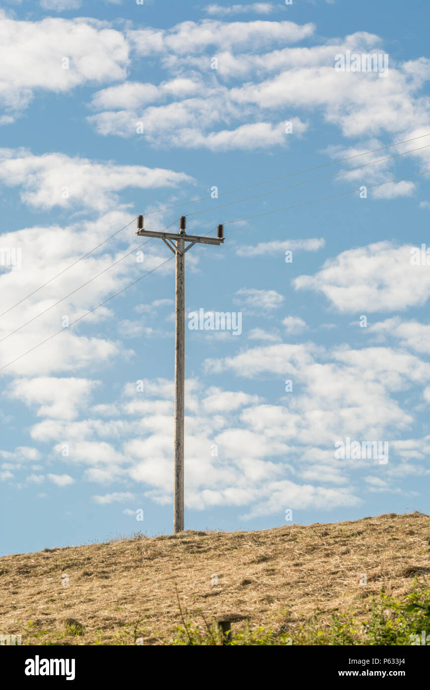 La distribution de l'électricité domestique dans un poteau de ligne de champ de foin en été, avec ciel bleu et nuages duveteux. Concept d'électricité des ménages. Banque D'Images