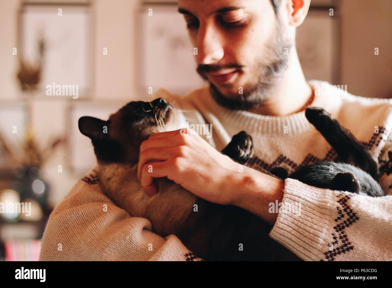 Jeune homme tenant son animal chat siamois Banque D'Images