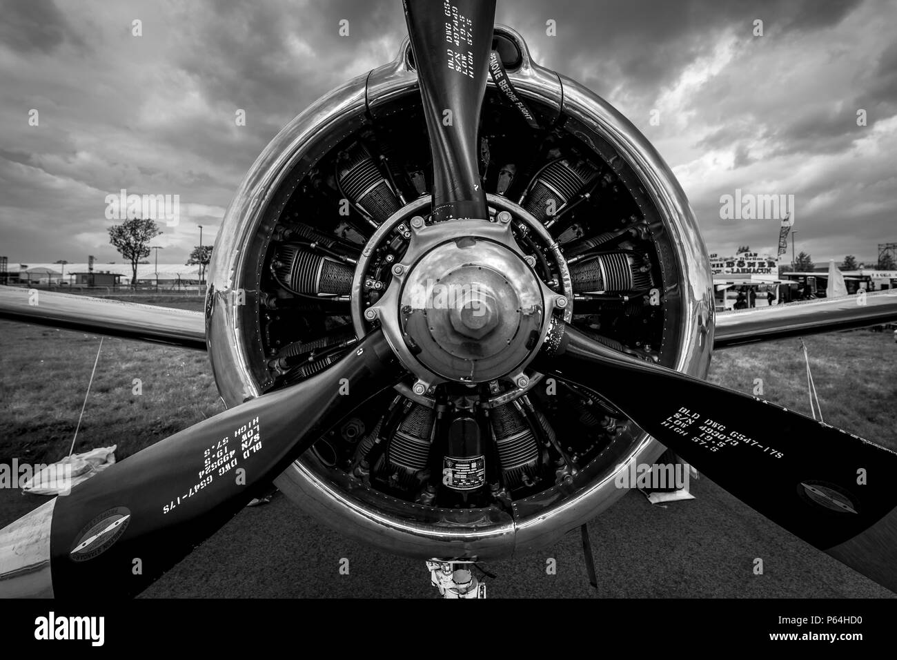 Moteur Radial Wright R-1820-9 de l'avion d'entraînement militaire North American T-28B Trojan, close-up. Banque D'Images