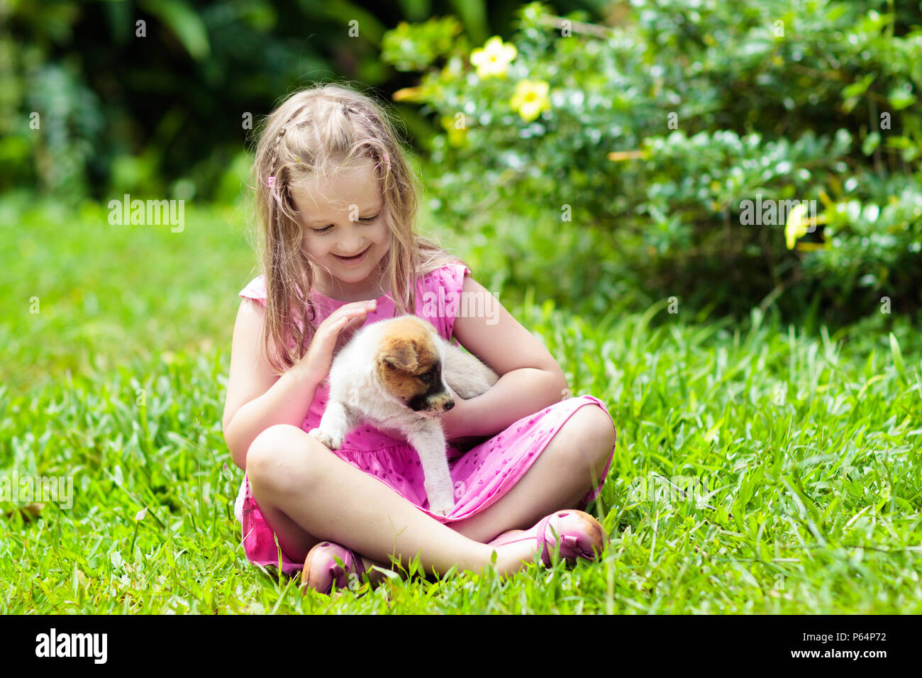 Les Enfants Jouent Avec Mignon Chiot Les Enfants Et Bebes Chiens Jouant Dans Le Jardin D Ete Ensoleille Little Girl Holding Chiots Enfant Avec Chien De Compagnie Famille Et P Photo Stock